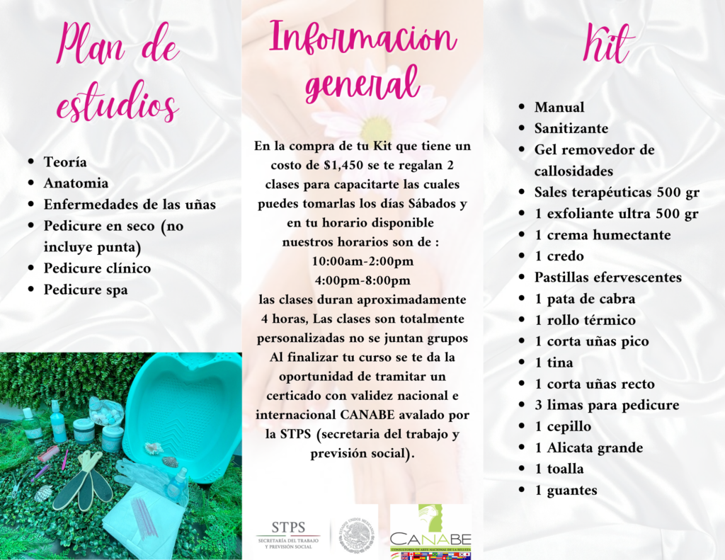 CURSOS PEDI